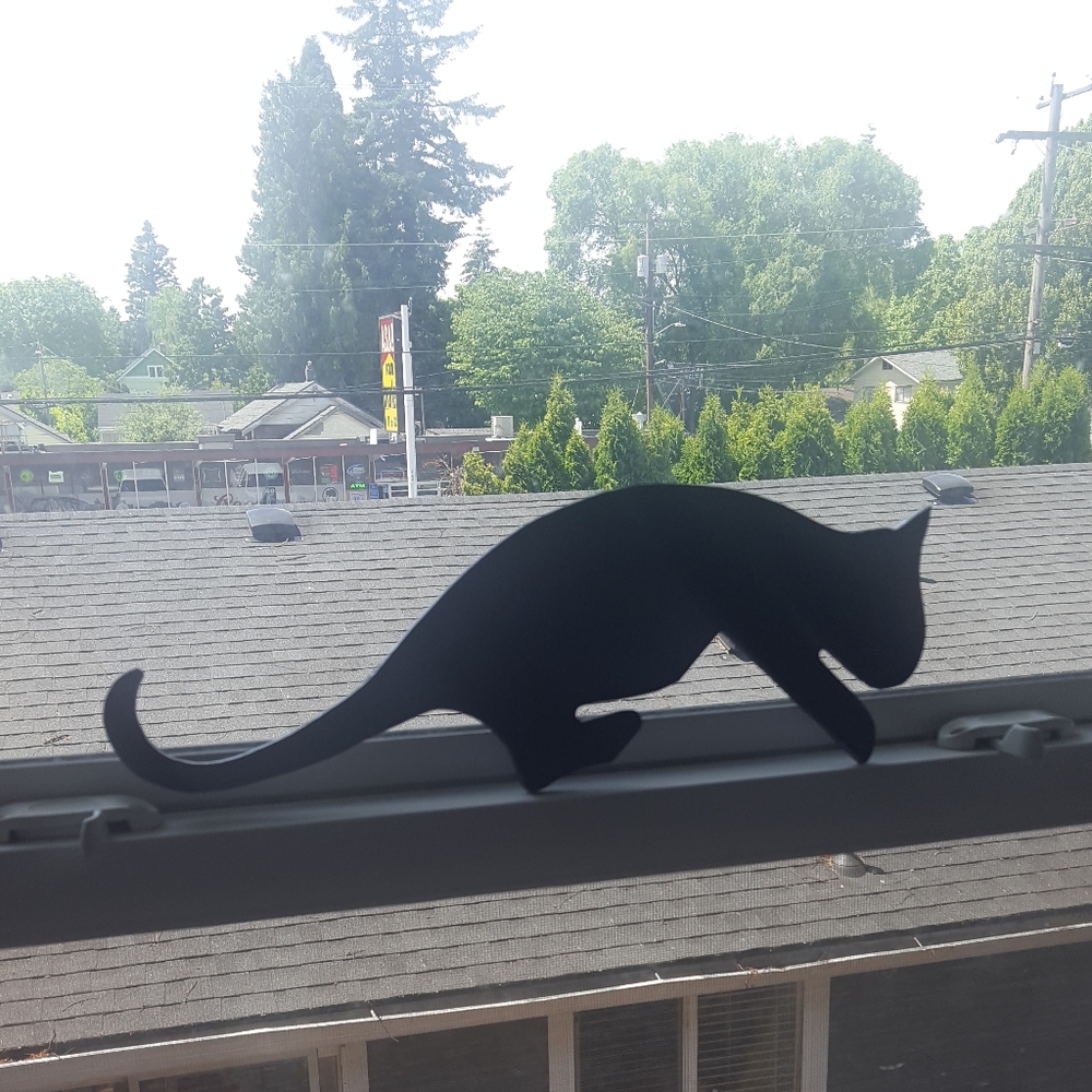 😄🐈STORE CLOSING SALE!!🐇🐈🐱